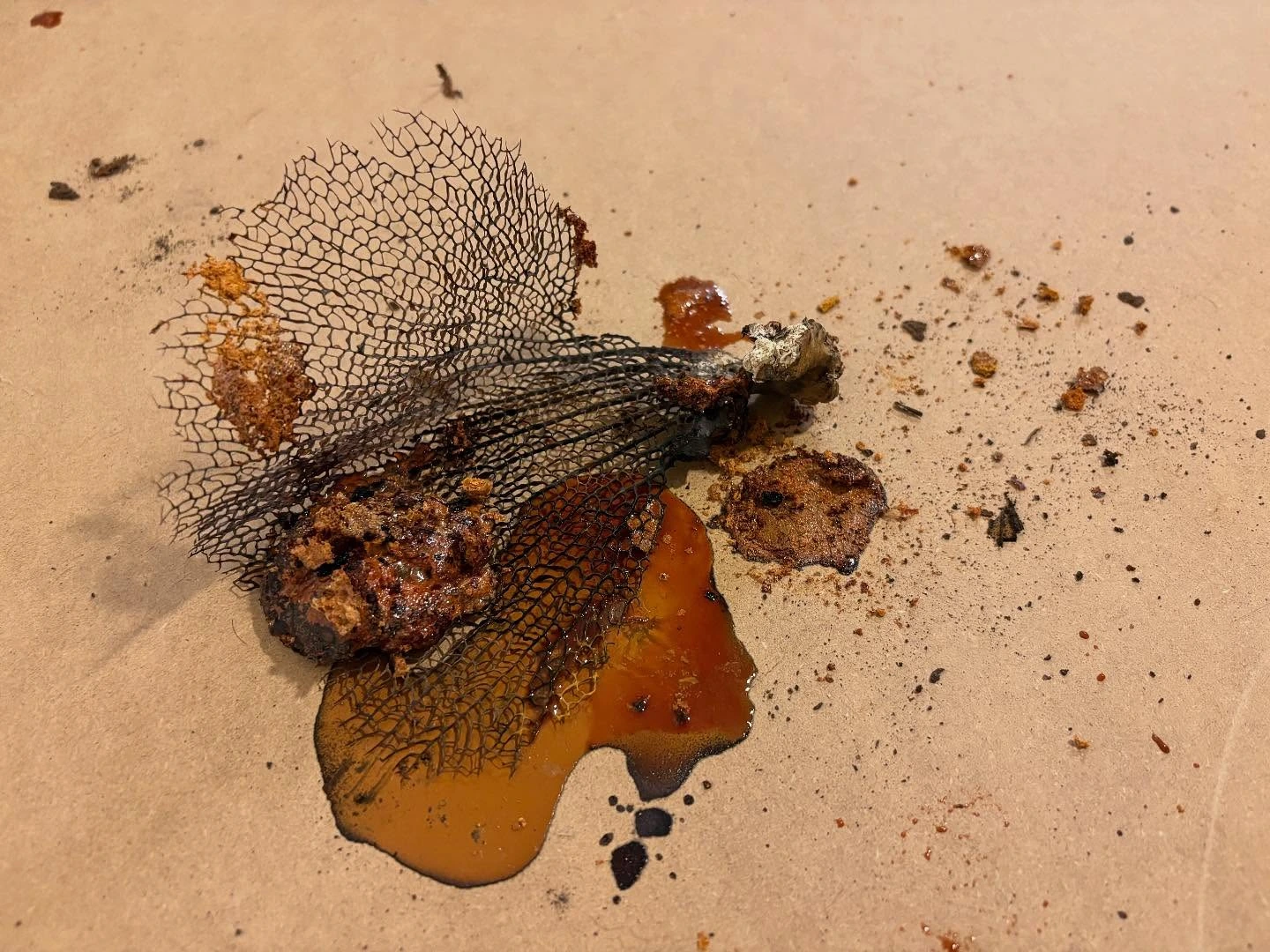 Begin Again by Sarah Patricia Hughes, 2025